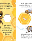 One Little Bee board book: Usborne