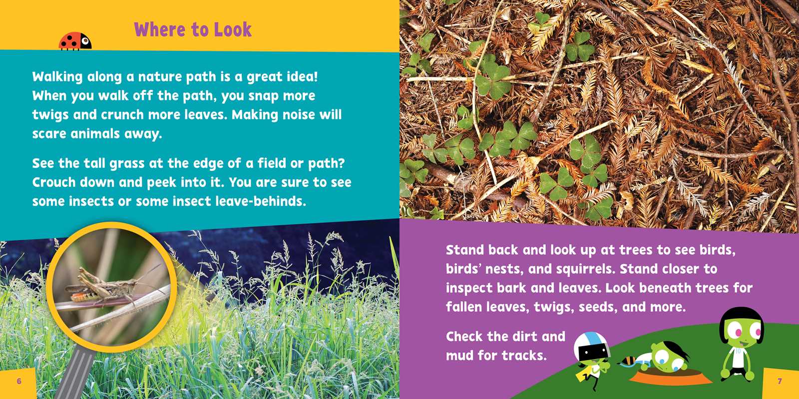 Look and Learn Nature Detective by Sarah Parvis