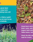Look and Learn Nature Detective by Sarah Parvis