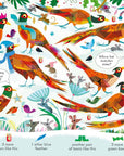 Can you Spot? Wintertime : Usborne
