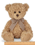 Theodore the Teddy Bear