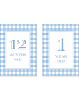 Cavalier Garden Gingham Blue Milestone Cards