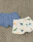 Kyte Briefs Set - Dinos & Slate