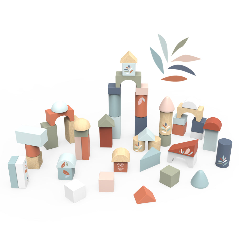 Building Blocks (set of 50)