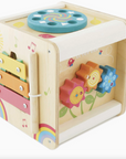 Activity Wooden Cube