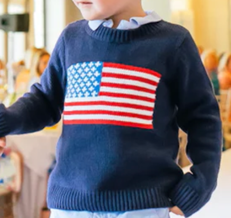 STS Navy Flag Sweater