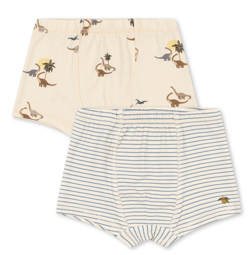 Organic Cotton set of 2 Boxer Briefs
