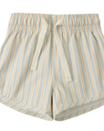 Blue + Butterscotch Striped Swim Trunks