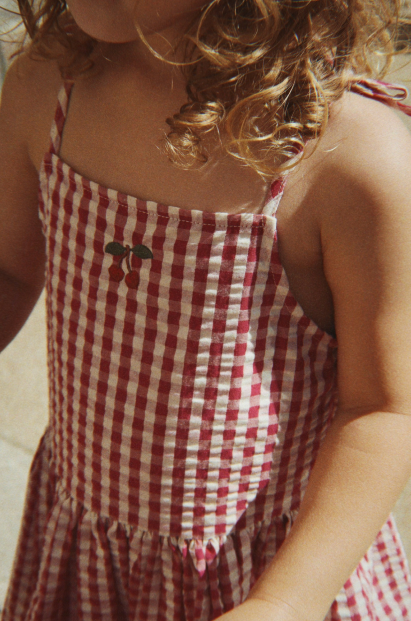 Isotta Raspberry Check Dress