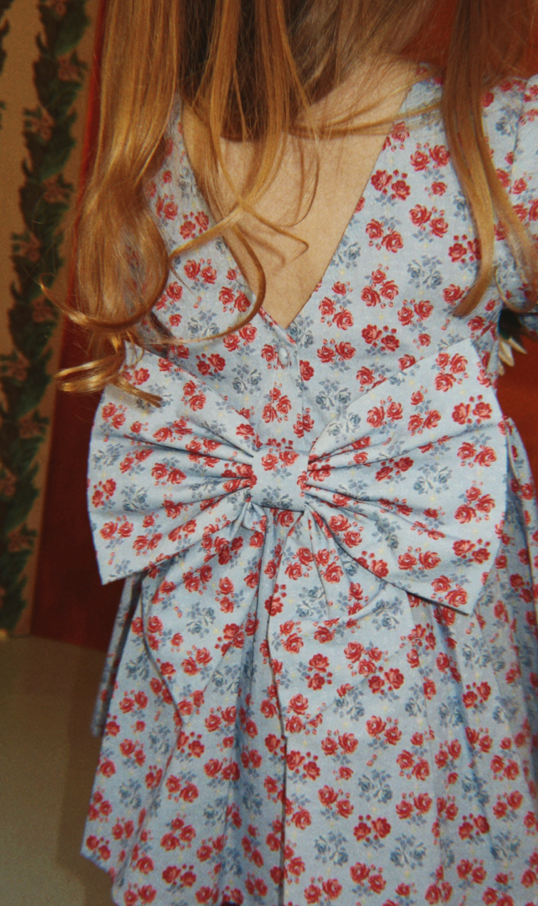 Avi Blue Floral Bow Back Dress