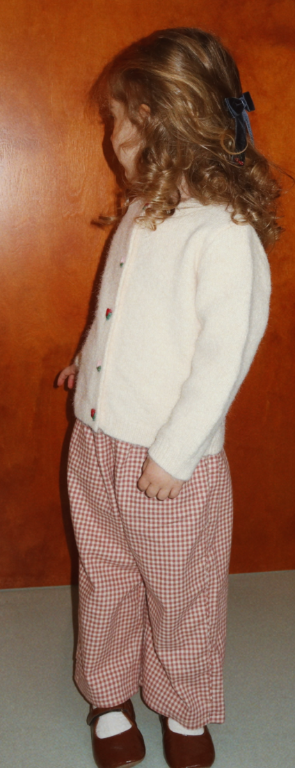 Foret Red Flanel Check Pant