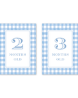 Cavalier Garden Gingham Blue Milestone Cards