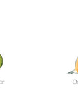 Orange Pear Apple Bear by Emily Gravett