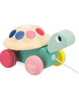 Pull-Along Turtle