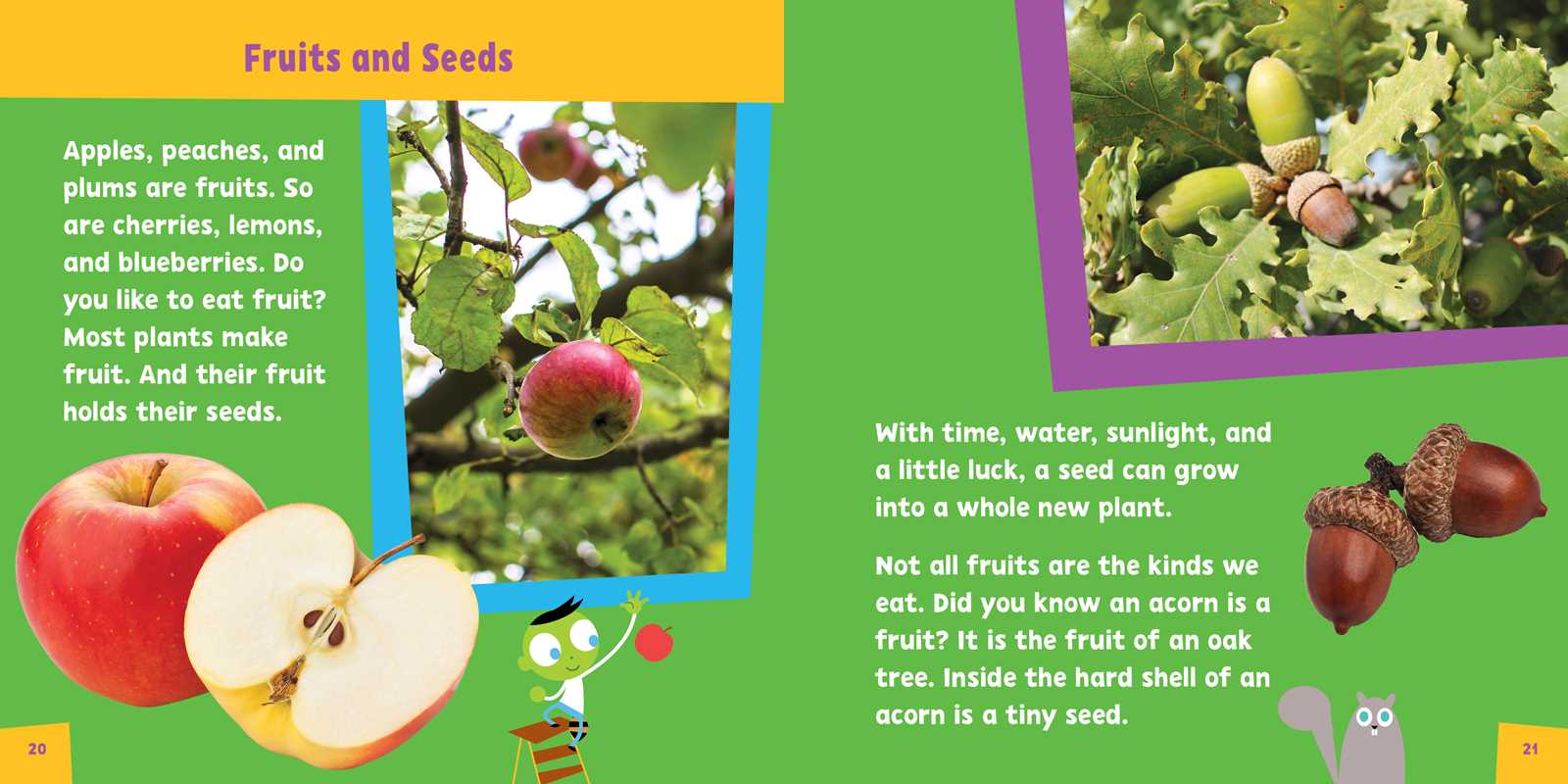 Look and Learn Nature Detective by Sarah Parvis
