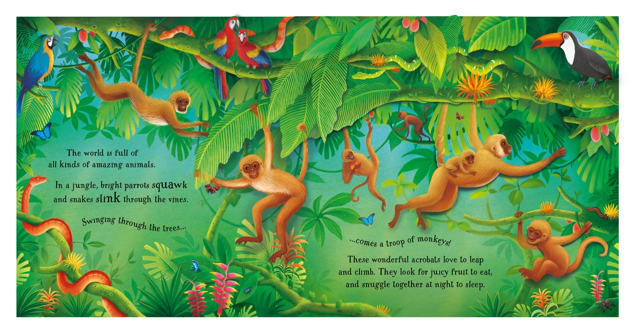 Pop-Up Animals : Usborne