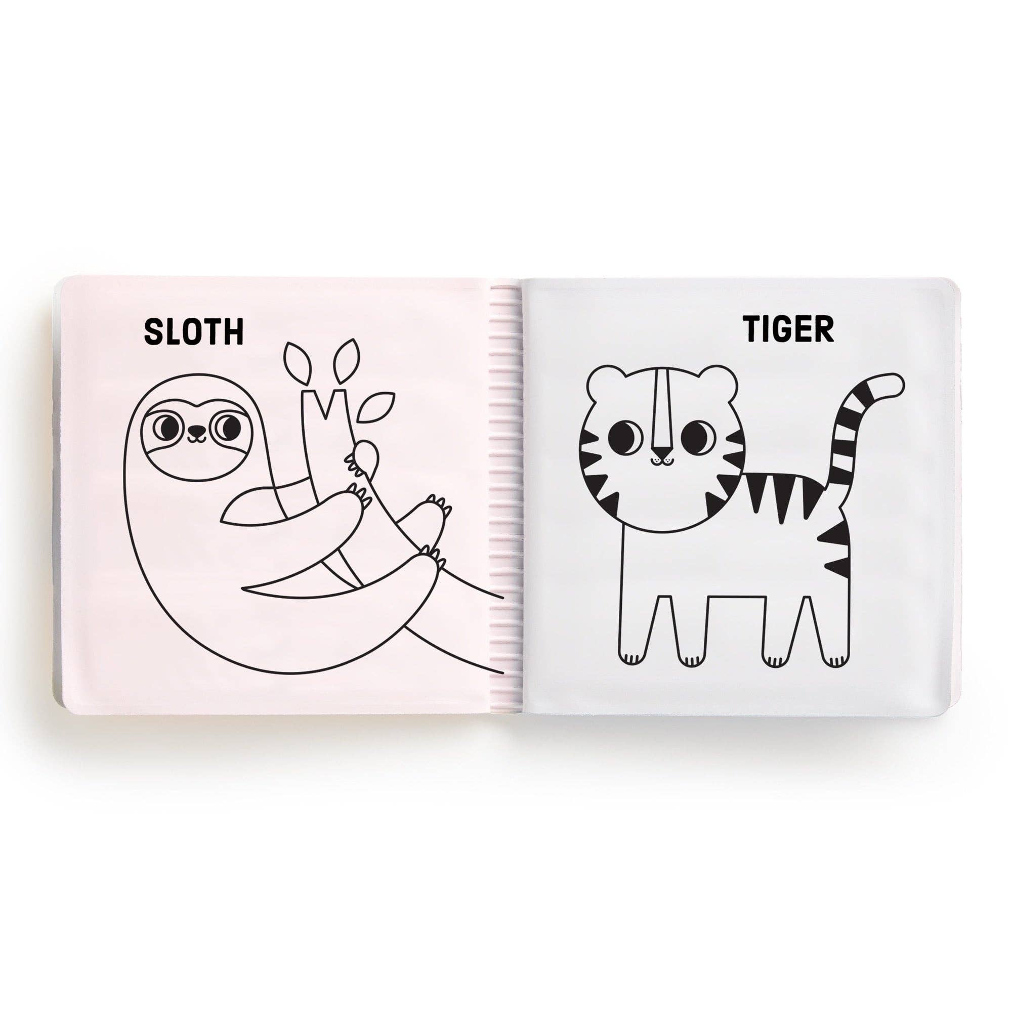Animals Of The World Color Magic Bath Book Set