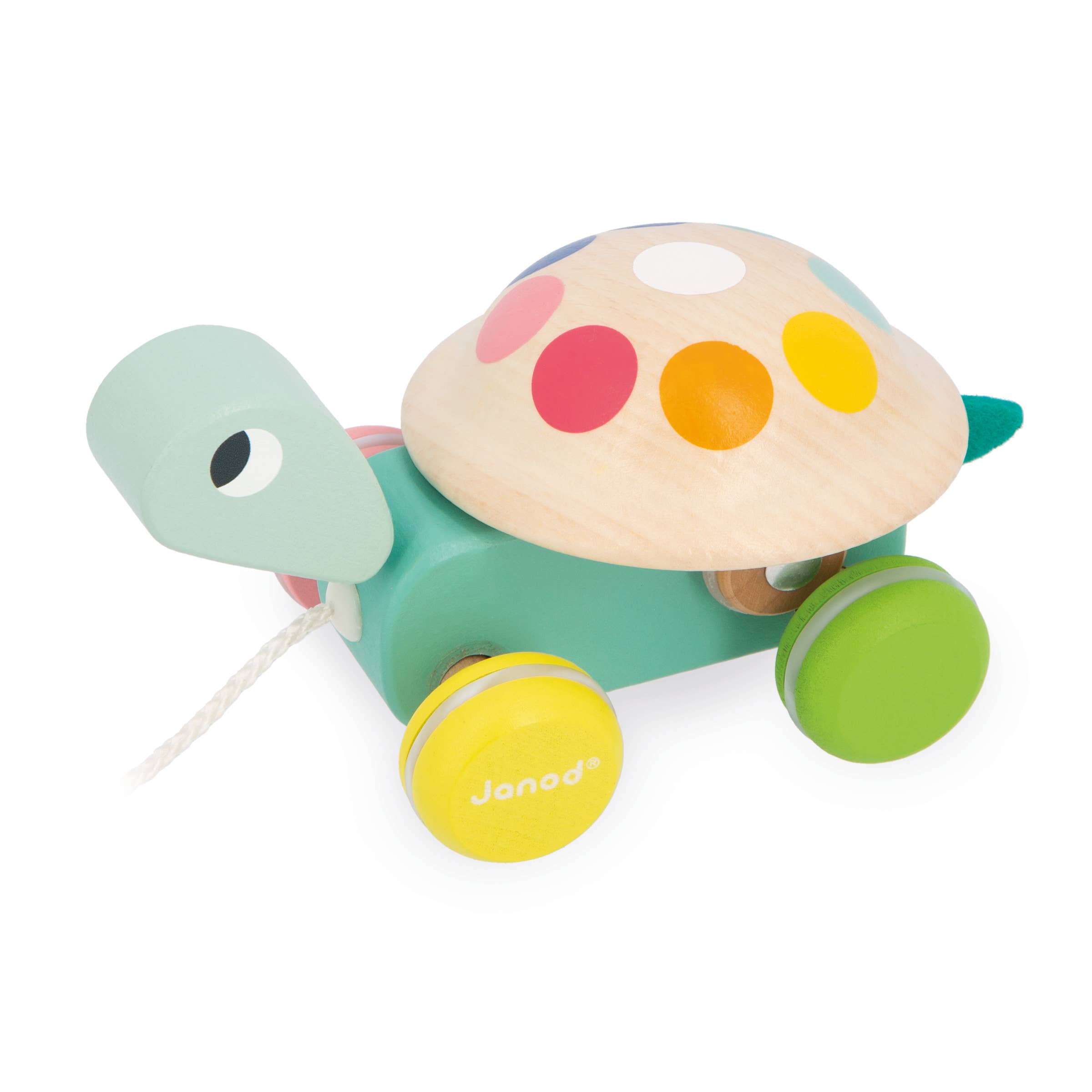 Pull-Along Turtle