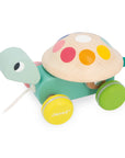 Pull-Along Turtle