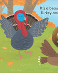 Baby Turkey: Finger Puppet Book