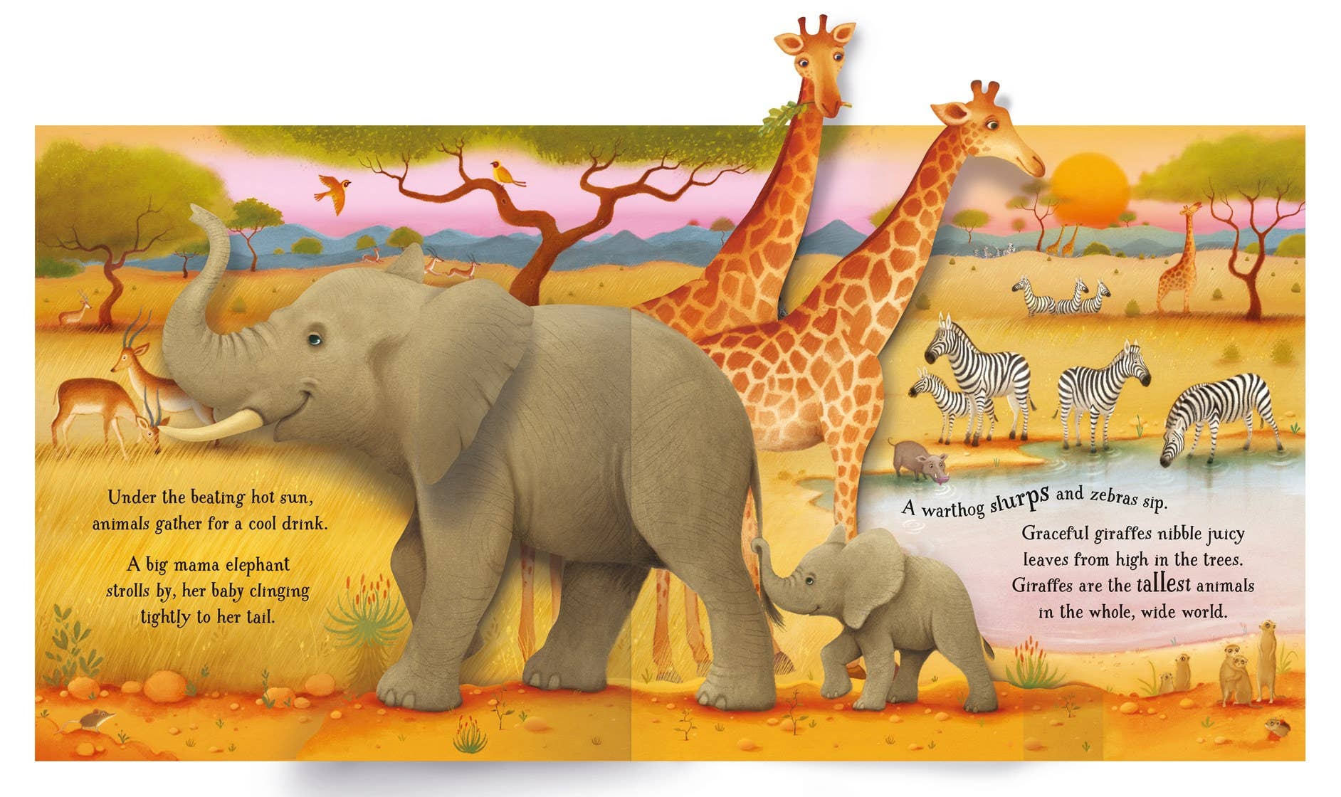 Pop-Up Animals : Usborne