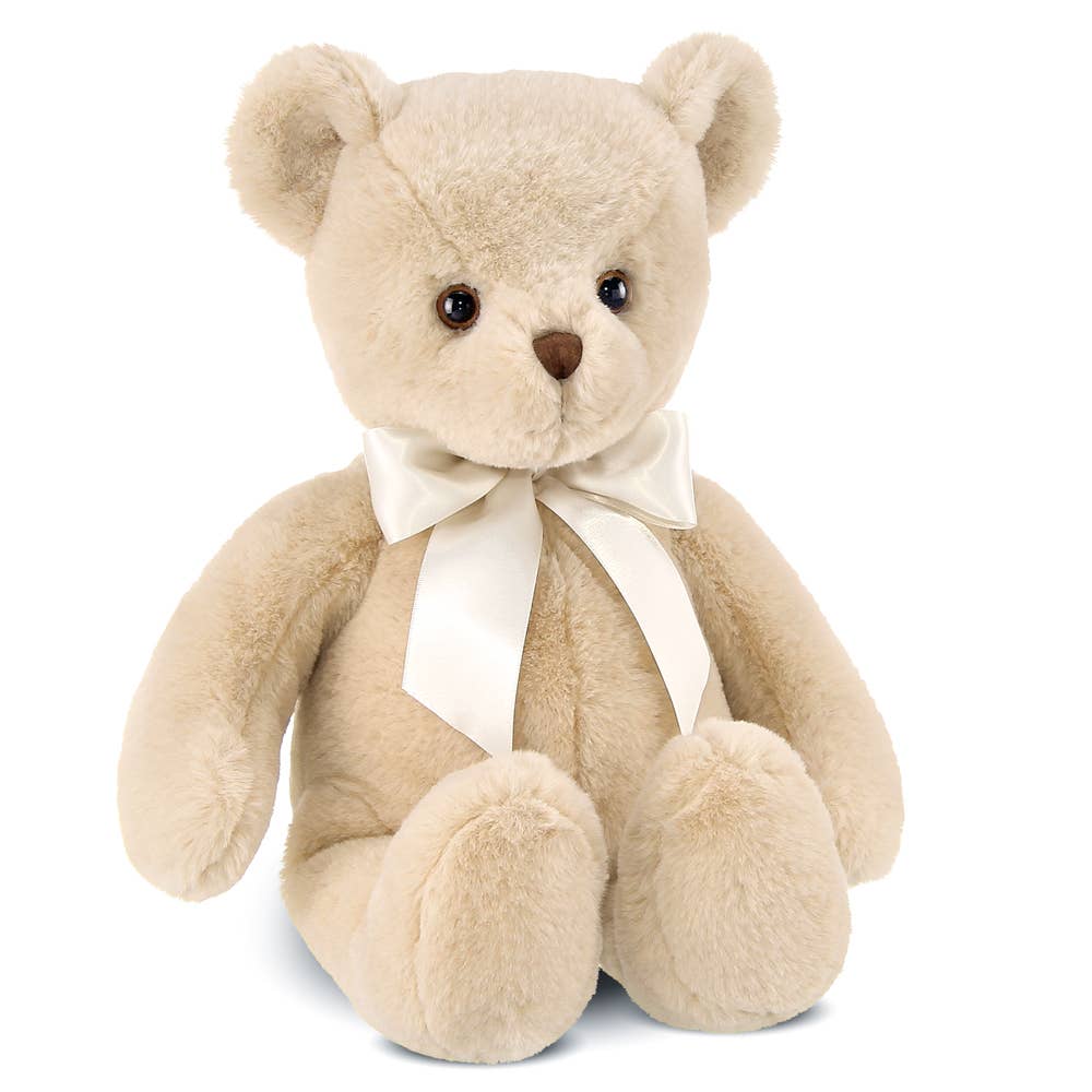 Christopher the Teddy Bear